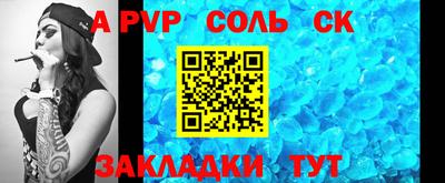 индика Камень-на-Оби