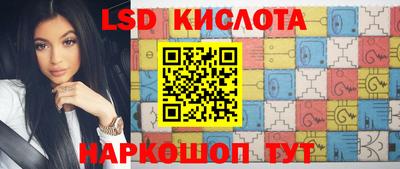 тгк Гай