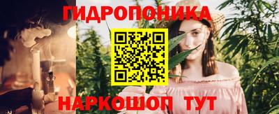тгк Гай