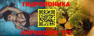 тгк Гай