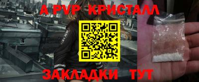 тгк Гай