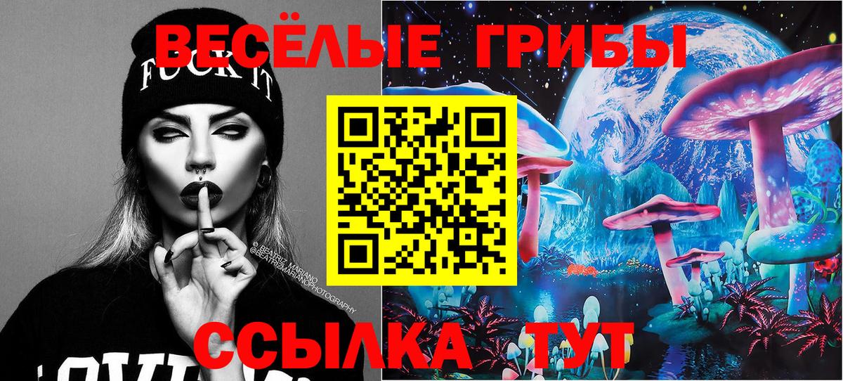 Коркино  Псилоцибиновые грибы GOLDEN TEACHER  Вход с VPN 